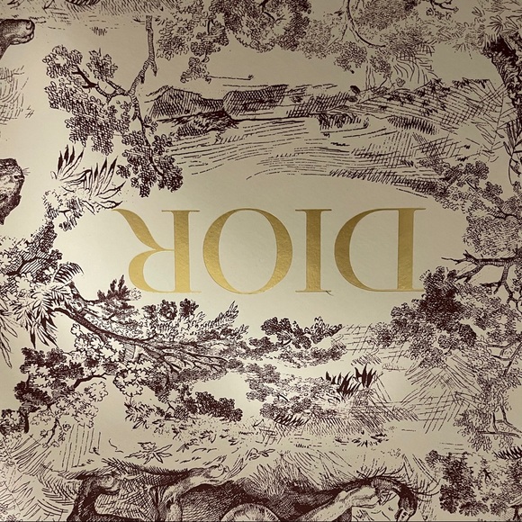 New bag Christian Dior Diorama - Picture 3 of 4